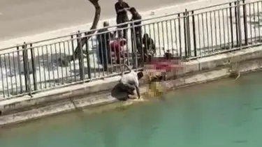 Kestiği koyunun kanını ve dışkısını sulama kanalına boşalttı