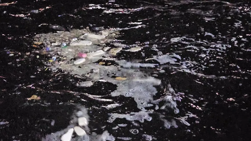 Lodos sonrası ortaya çıktı: Çöp yığınları şoke etti 4