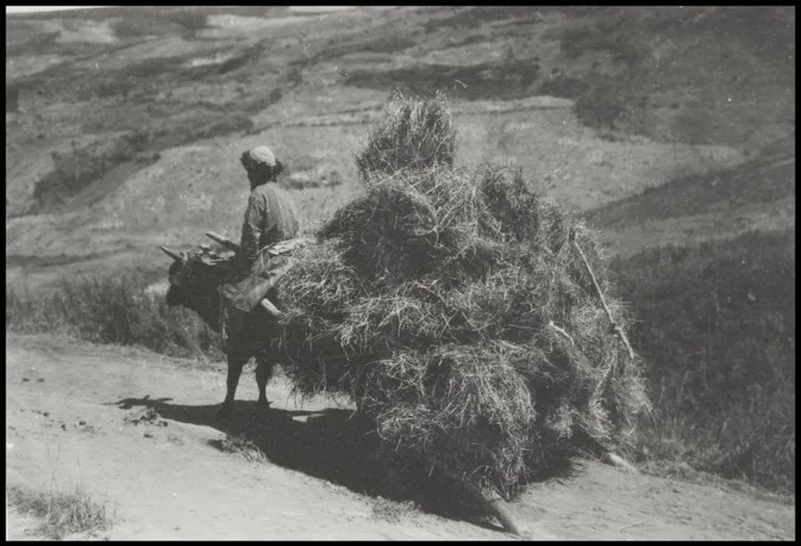 Bilim kurgu değil Türk boylarının 111 yıllık fotoğrafları. Gizemli heykeller, gelişmiş aletler, tanıdık kıyafetler (106 fotoğrafla gizemli Türk tarihi) 61
