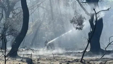 Çanakkale, Antalya ve Hatay'daki yangınlar kontrol altına alındı
