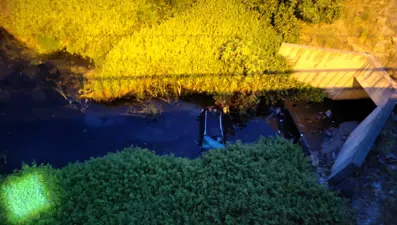 İstanbul'da otomobil gölete uçtu