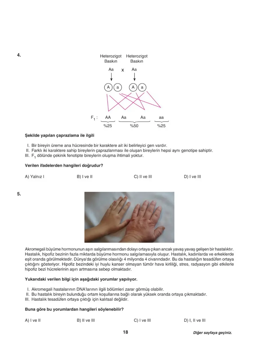 Uğur Okulları LGS-2 sayısal deneme sınavı 17