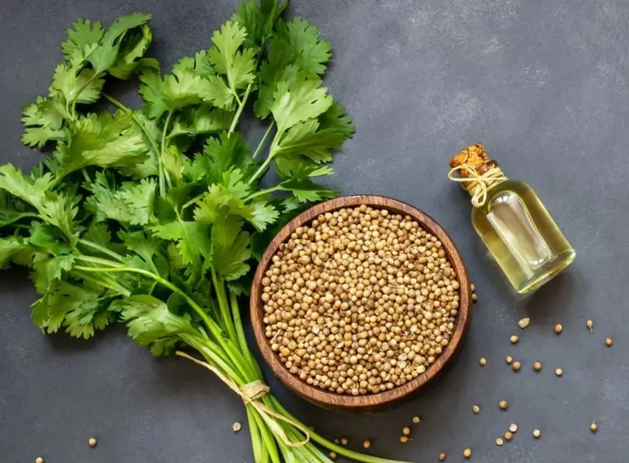 Türkiye'de Isparta ve Konya'da yetişiyor: Değerini en çok Meksikalılar biliyor! Karaciğerde toksin bırakmayan besin 7