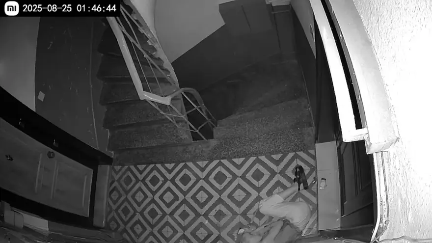 "BENİ ESKİ KIZ ARKADAŞLARINLA KARIŞTIRMA" 4