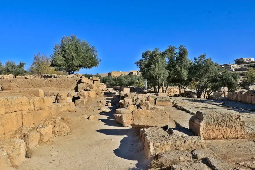 Yeni buluntularla Dara Antik Kenti'nin zeytin üretim ve ticaret merkezi olduğu ortaya çıktı 