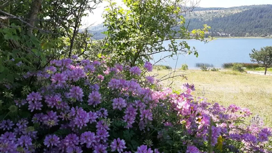 Türkiye’nin en serin noktası belli oldu (Aşırı sıcaklarkavururken, Bolu’da hava 0,8 derece) 1 Türkiye’nin en serin noktası belli oldu (Aşırı sıcaklarkavururken, Bolu’da hava 0,8 derece) 1