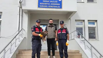 Yozgat'ta yaralı bulunan kartal koruma altına alındı