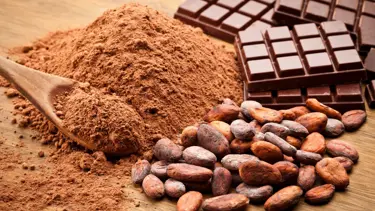 Rüyada çikolata görmek ne anlama gelir? Rüyada çikolata yediğini görmek ne anlama gelir?