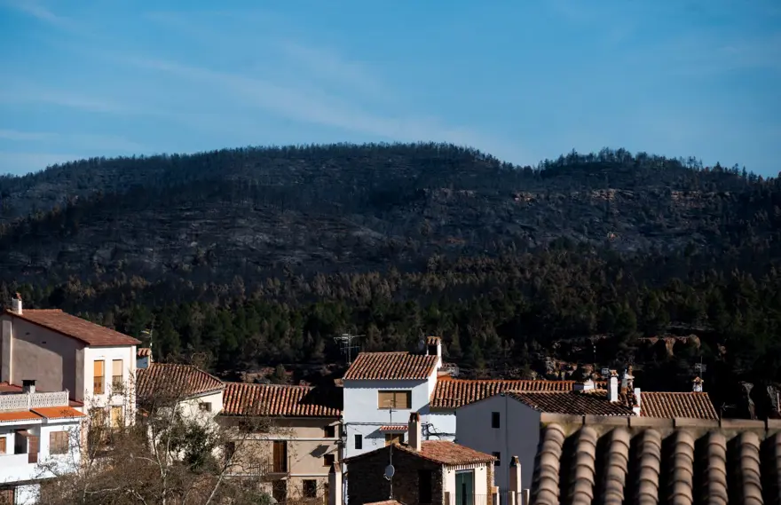 İspanya'daki orman yangınları üç haftadır devam ediyor: 20 bin hektar kül oldu 5