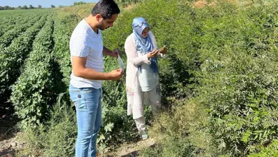 Söke’de ekipler sahaya indi: Tuzaklar kontrol edildi