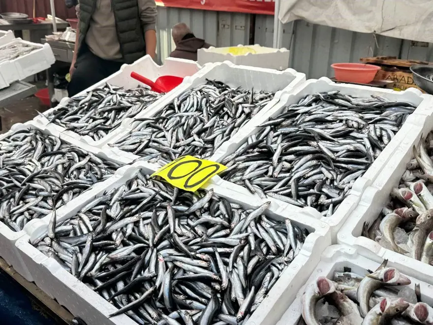 Buzlukta saklamak için tam zamanı: Fiyatı düştü, yoğun ilgi görüyor 3