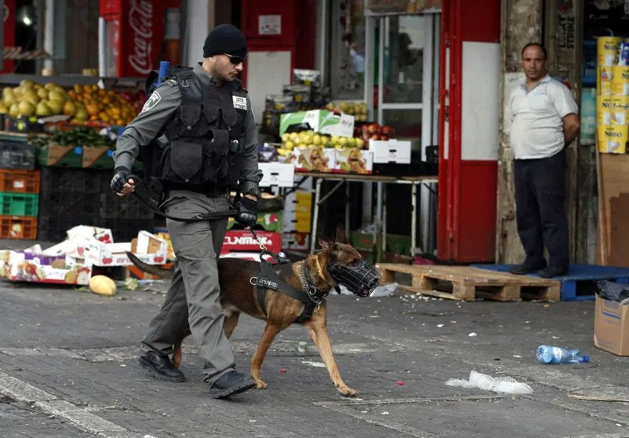 KÖPEKLERİ SİVİLLERE YÖNLENDİRİYORLAR 3
