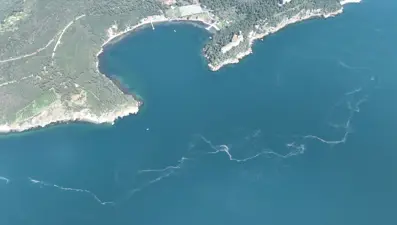İstanbul’da müsilaj: Deniz yüzeyinde görülmeye başladı