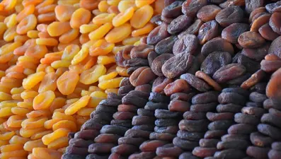 Kuru kayısı ihracatı 300 milyon dolara yaklaştı