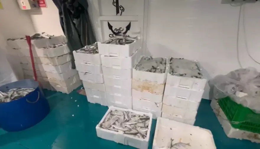 Kaçak lüfer avına binlerce lira ceza 