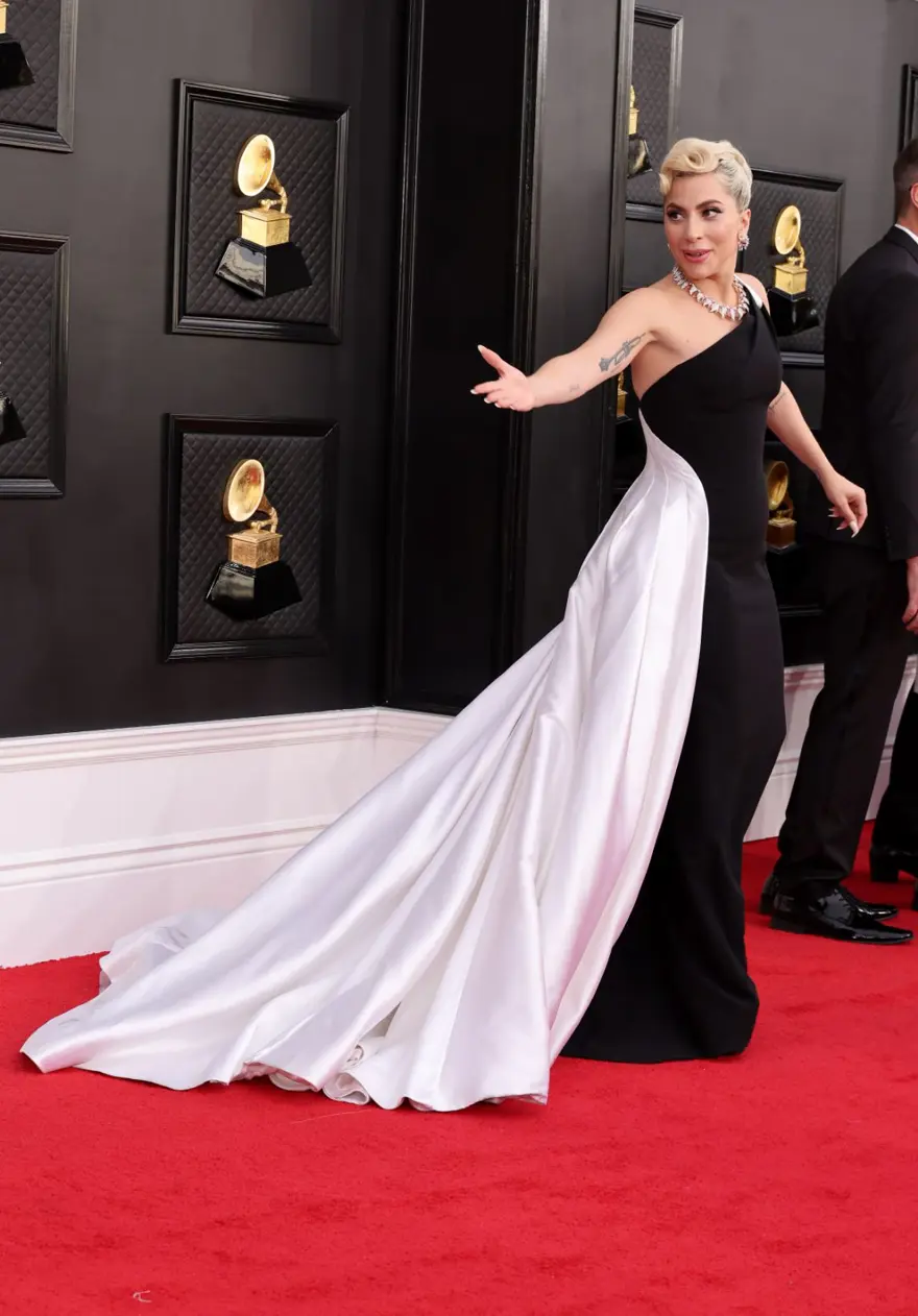 2022 Grammy Ödülleri'nde kırmızı halı şıklığı 69