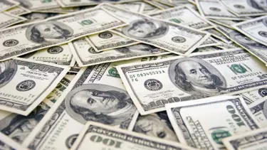 IMF: Doların uzun bir geleceği var