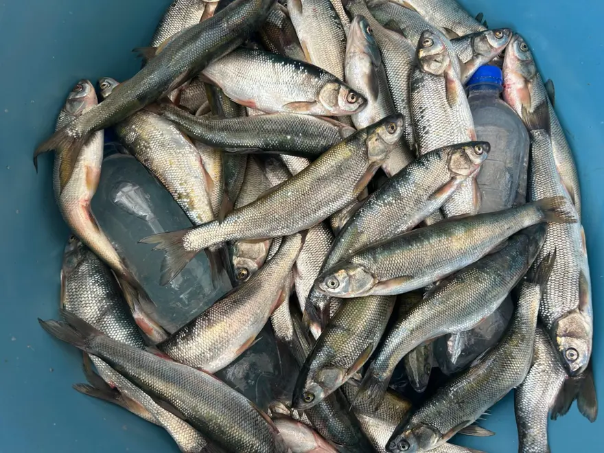 "FİYAT BU YIL DEĞİŞMEDİ" 3 "FİYAT BU YIL DEĞİŞMEDİ" 3