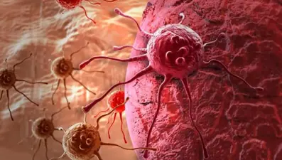 Kanser, sağlıklı komşu hücreleri kök hücreye dönüştürerek büyüyor