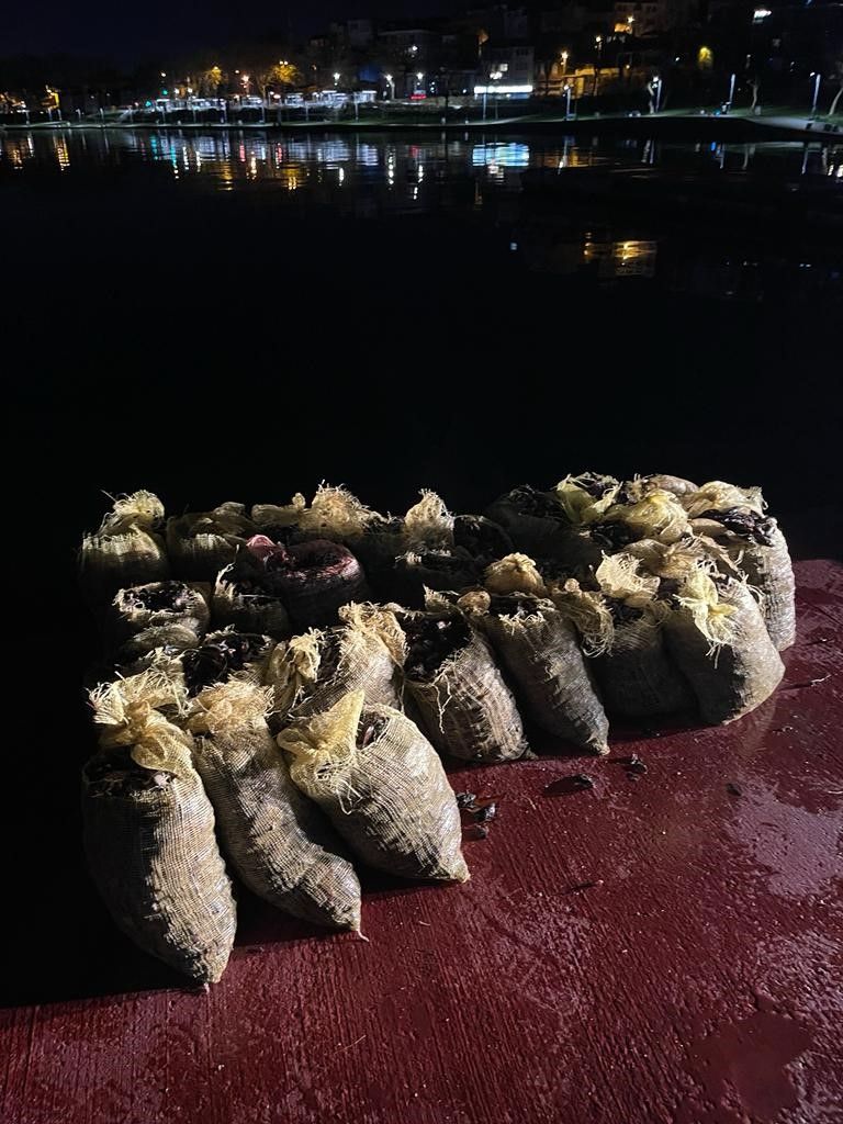 Sarıyer’de 4 buçuk ton kaçak midye ele geçirildi