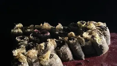 Sarıyer’de 4 buçuk ton kaçak midye ele geçirildi