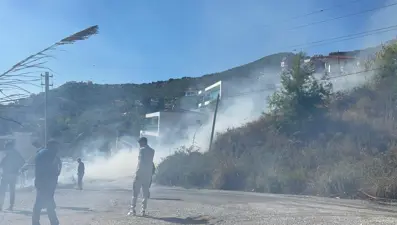 Alanya'da ormanlık alanda yangın