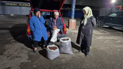 Bir çuvalı 22 bin TL'ye satıldı: 2 kişi 5 günde toplamış