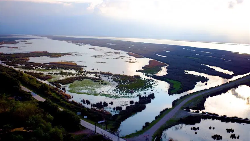 Karadeniz'de yolculuk yeşile dönüyor (Yeşil yol projesi) 7