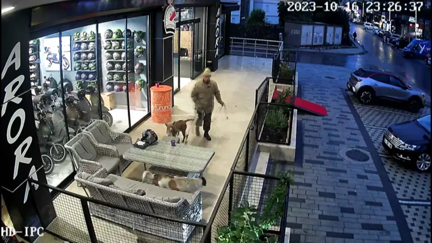 Avcılar'da pitbullu bıçaklı saldırgana gözaltı 4