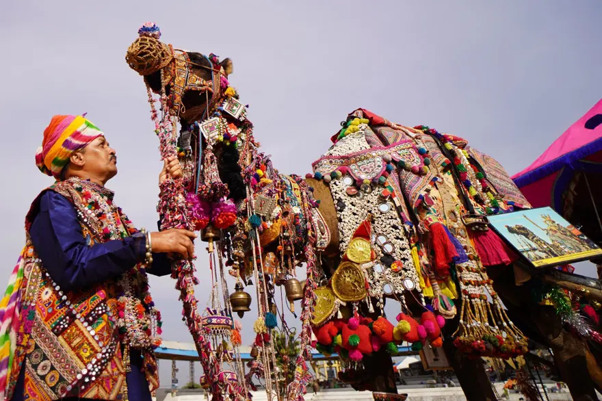 Hindistan'da geleneksel Pushkar Deve Festivali gerçekleştirildi 11 Hindistan'da geleneksel Pushkar Deve Festivali gerçekleştirildi 11
