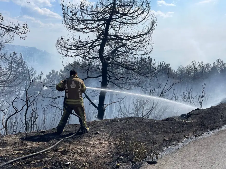 İstanbul Maltepe'de orman yangını 14