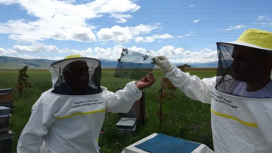 Hobi olarak bu işe başladı! Fiyatı dudak uçuklatıyor 2