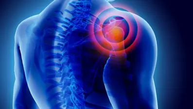 Kas nakli sinir yaralanmalarına umut oluyor