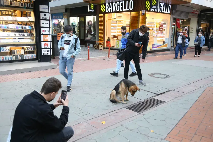 Mazgalı izleyen köpeğin sırrı ortaya çıktı 1 Mazgalı izleyen köpeğin sırrı ortaya çıktı 1