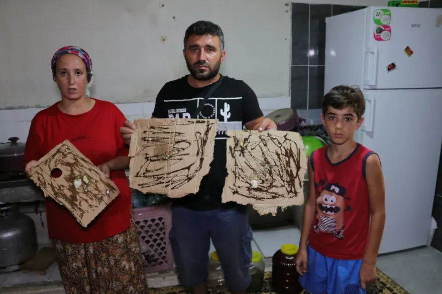 Adana'da bir mahalleyi böcekler istila etti Adana'da bir mahalleyi böcekler istila etti