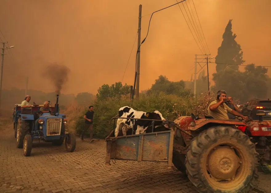 Ödemiş'te kahreden fotoğraflar: Alevlerden kaçış 1 Ödemiş'te kahreden fotoğraflar: Alevlerden kaçış 1