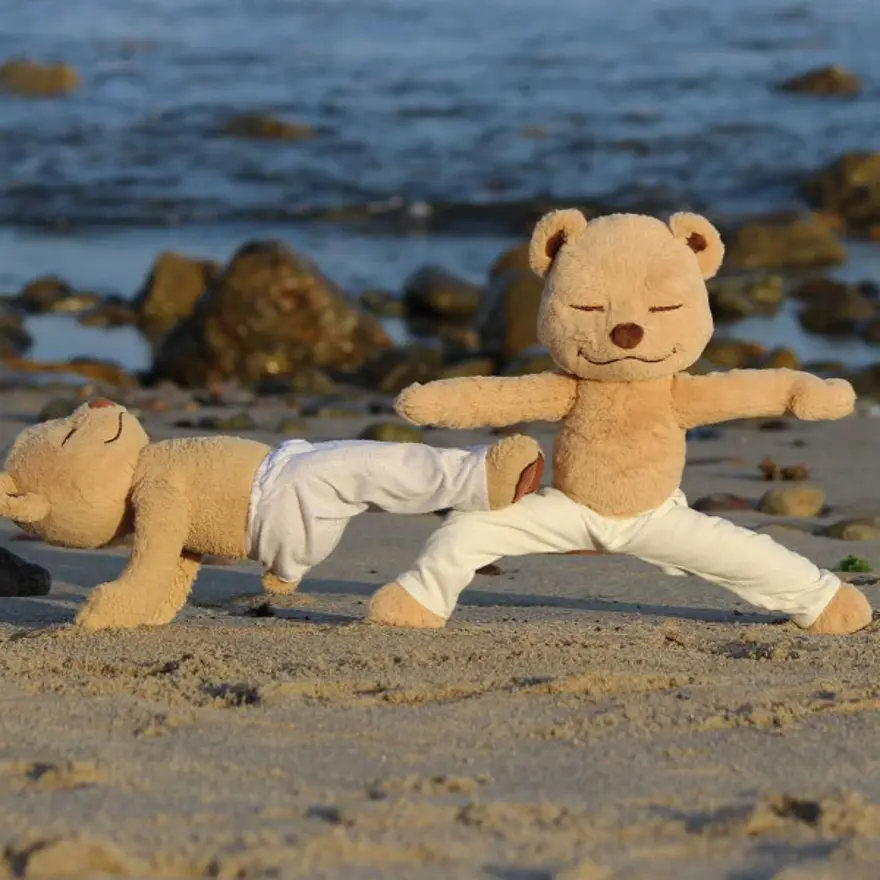 İnternetin yeni fenomeni Yogi Ayı Meddy Teddy 12