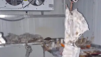 Etlerin çürüyüp koktuğu kasap dükkanını belediye temizledi