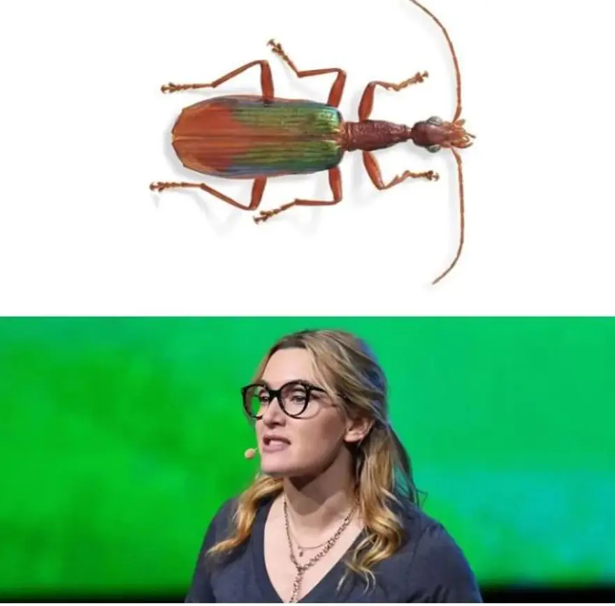 Ünlülerin adı verilen yeni türler 9 Ünlülerin adı verilen yeni türler 9