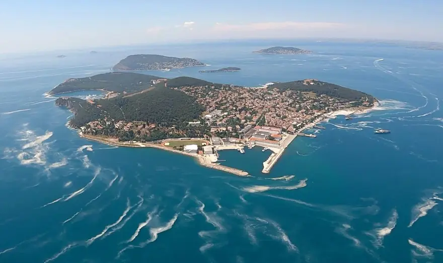 Müsilajın ardından balık çeşitliliğinde azalma: Köpek balığı ve vatozda ise yüzde 100 artış 