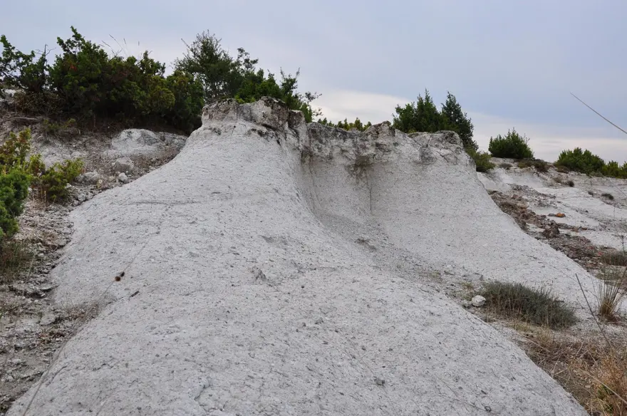 21 milyon yıllık fosil ağaç ormanı tehlikede 8