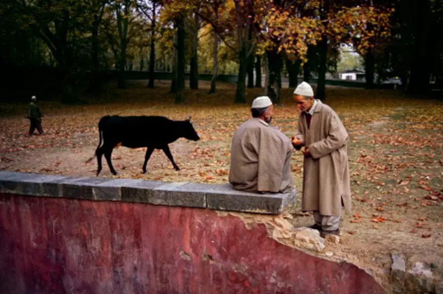 Afgan Kızı ve diğer fotoğrafları 59 Afgan Kızı ve diğer fotoğrafları 59