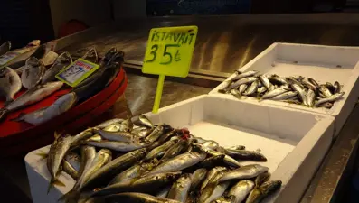 Soğuk hava balık tezgahlarını vurdu: İstavritin kilosu 35 liraya yükseldi