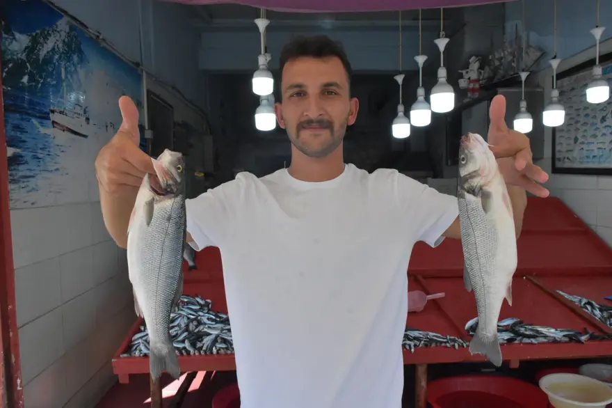 'SARDALYA ŞU AN BOL GÖRÜNÜYOR' 2 'SARDALYA ŞU AN BOL GÖRÜNÜYOR' 2