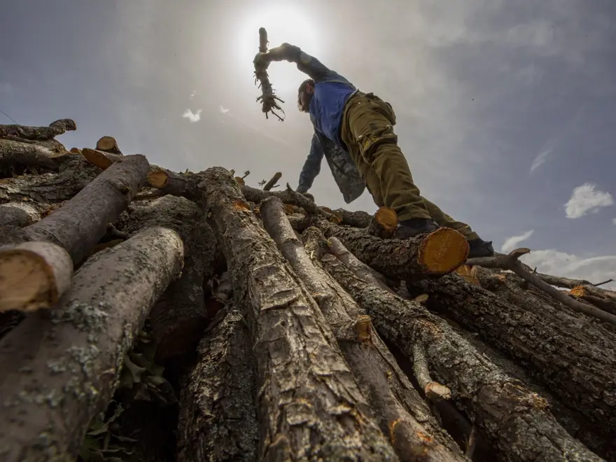 Ekmeklerini mangal kömüründen çıkarıyorlar 19