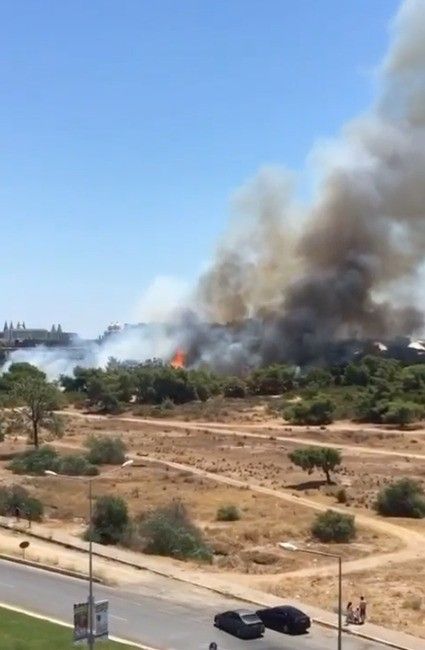 Antalya'daki iki orman yangını kontrol altında