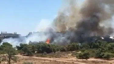 Antalya'daki iki orman yangını kontrol altında