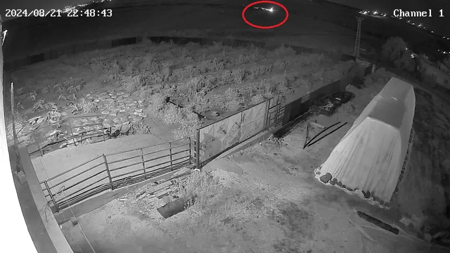 Narin Güran cinayetiyle ilgili yeni görüntü: Cesedin yakınında 8 dakika kalmış 7