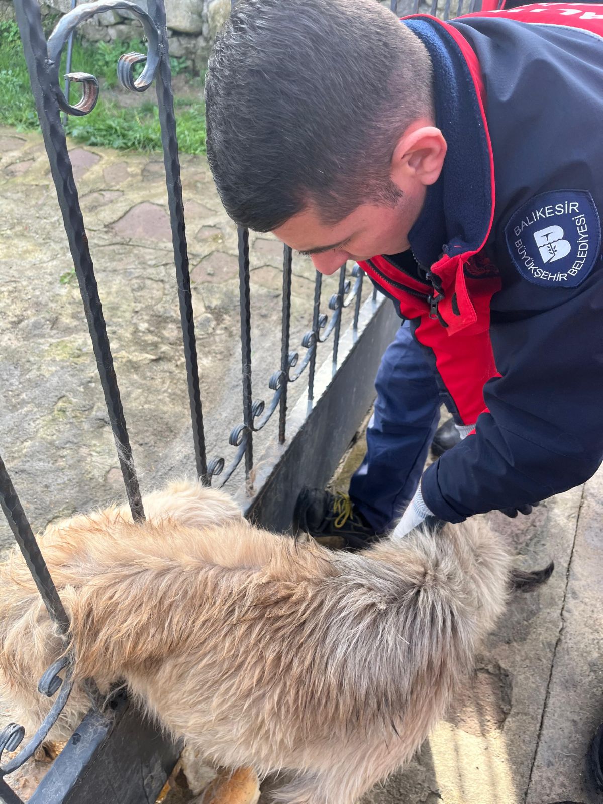 Balıkesir'de bahçe kapısına sıkışan köpek kurtarıldı