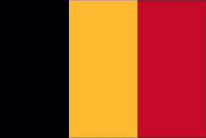 8| BELÇİKA | 55.850 PUAN 8